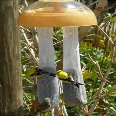 thumbnail for publication: Attracting Backyard Birds: Bird Feeder Selection